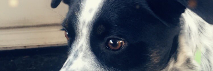 varouna's profile banner image