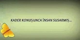 AAalkazan's profile banner image