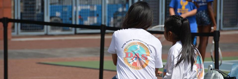 DominicoAmericanSoc banner