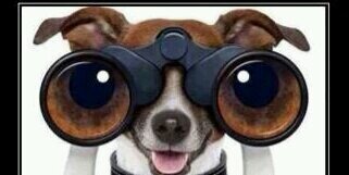 Victor Guillén banner