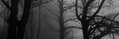 Barb_1998's profile banner image