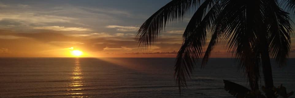 mmmmekalah's profile banner image