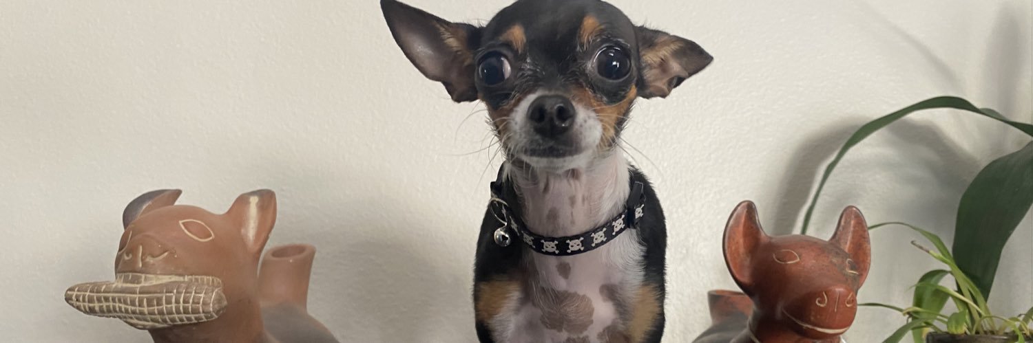 alllybakes's profile banner image