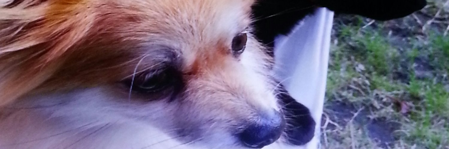 Aussie Diana S 🇦🇺 banner