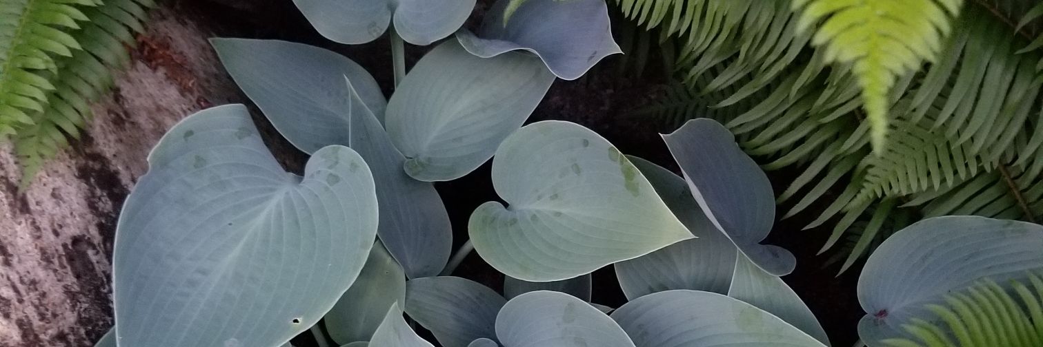 rebeccareeves's profile banner image