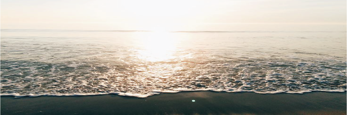 sfsalutations's profile banner image