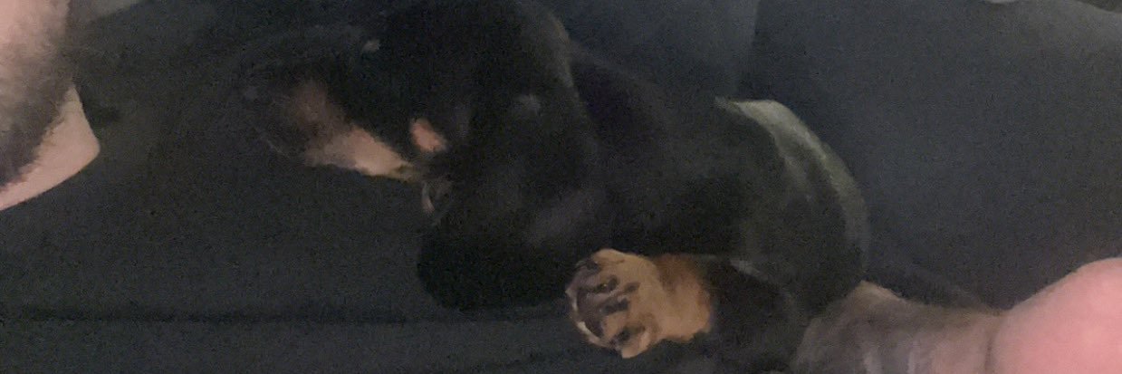 camgyte's profile banner image