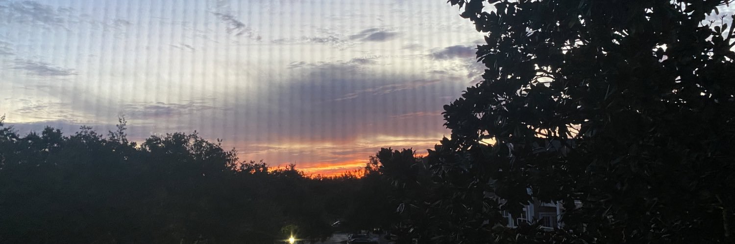 ExoticFarah's profile banner image