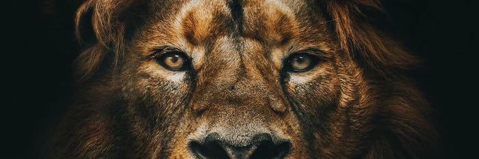 _JhayO's profile banner image