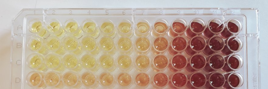 Nicolas J. PILLON banner