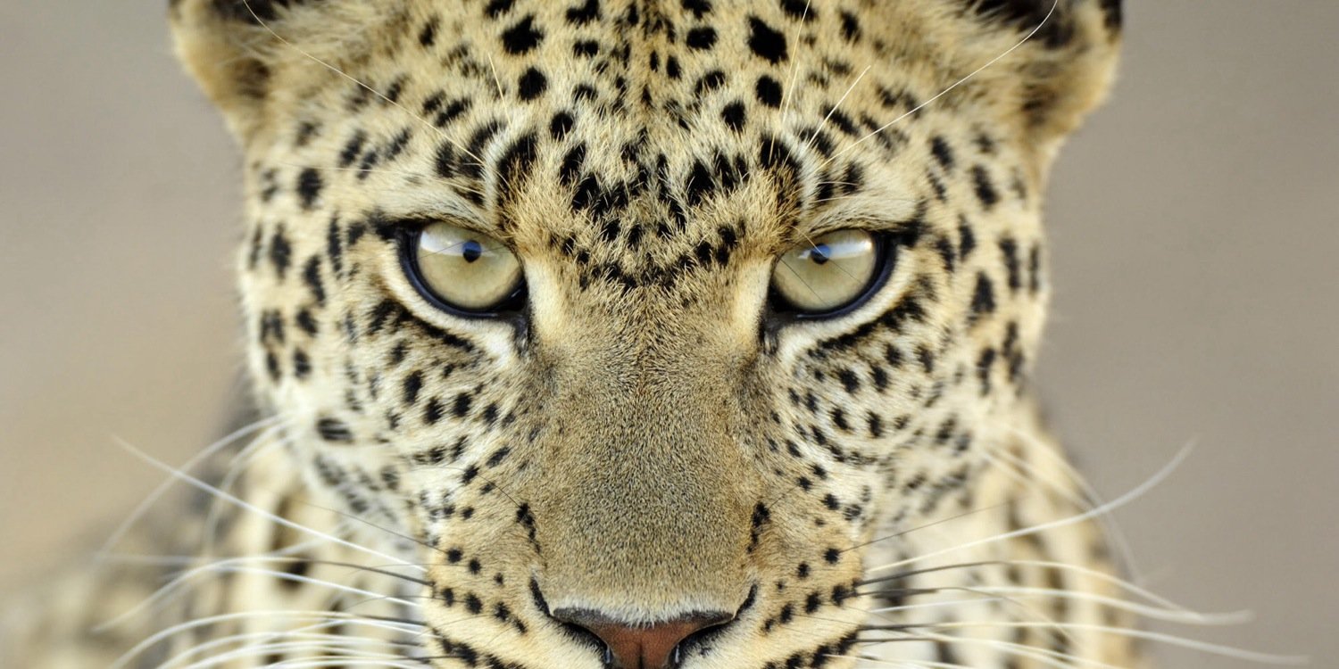 YaWuba's profile banner image