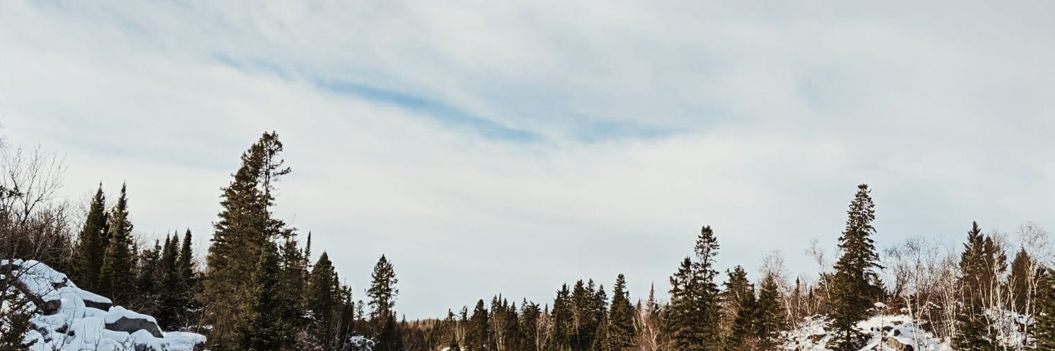 Michi_MeGa's profile banner image