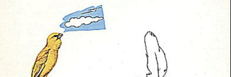 kev_n_m's profile banner image
