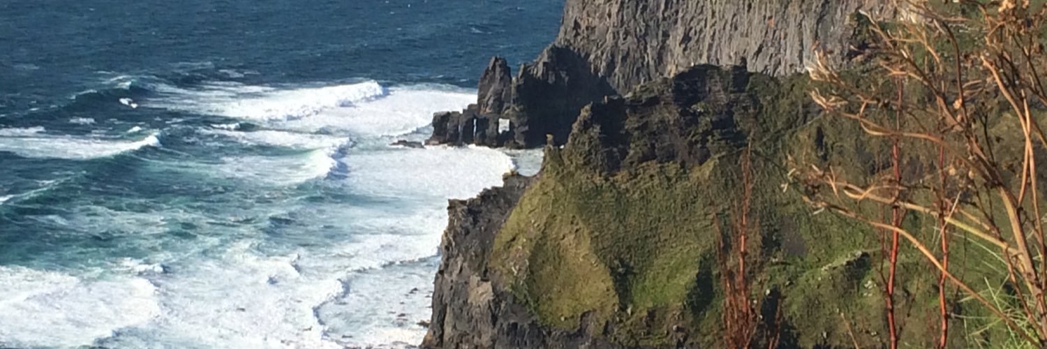 Amy Cook, Ph.D banner