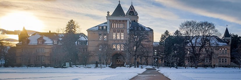 ReesCarson's profile banner image