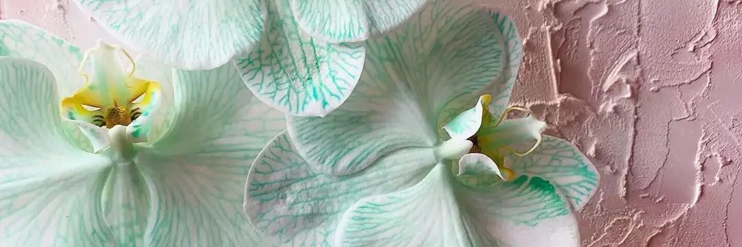 Titha_Febriani's profile banner image