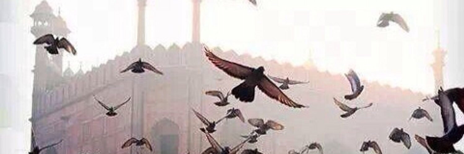 teva1100's profile banner image