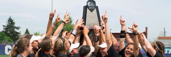 NNUSOFTBALL Profile Banner