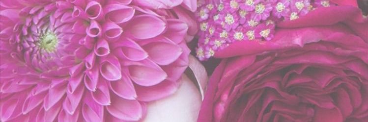merppp__'s profile banner image