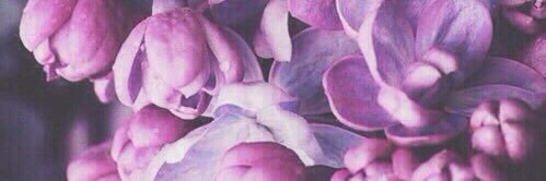 nicetrashbels's profile banner image