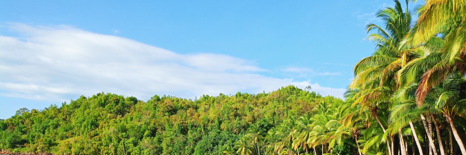 vinachanddd's profile banner image