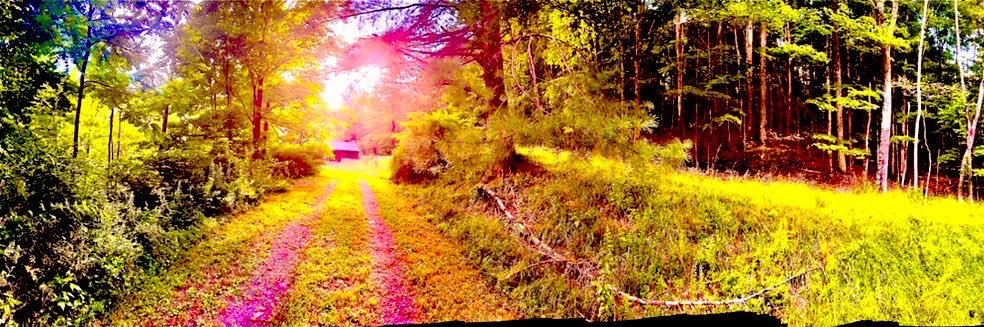 rjtreitner's profile banner image