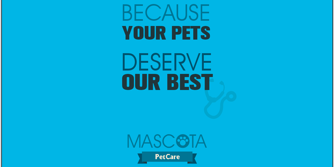 MASCOTAPetCare's profile banner image