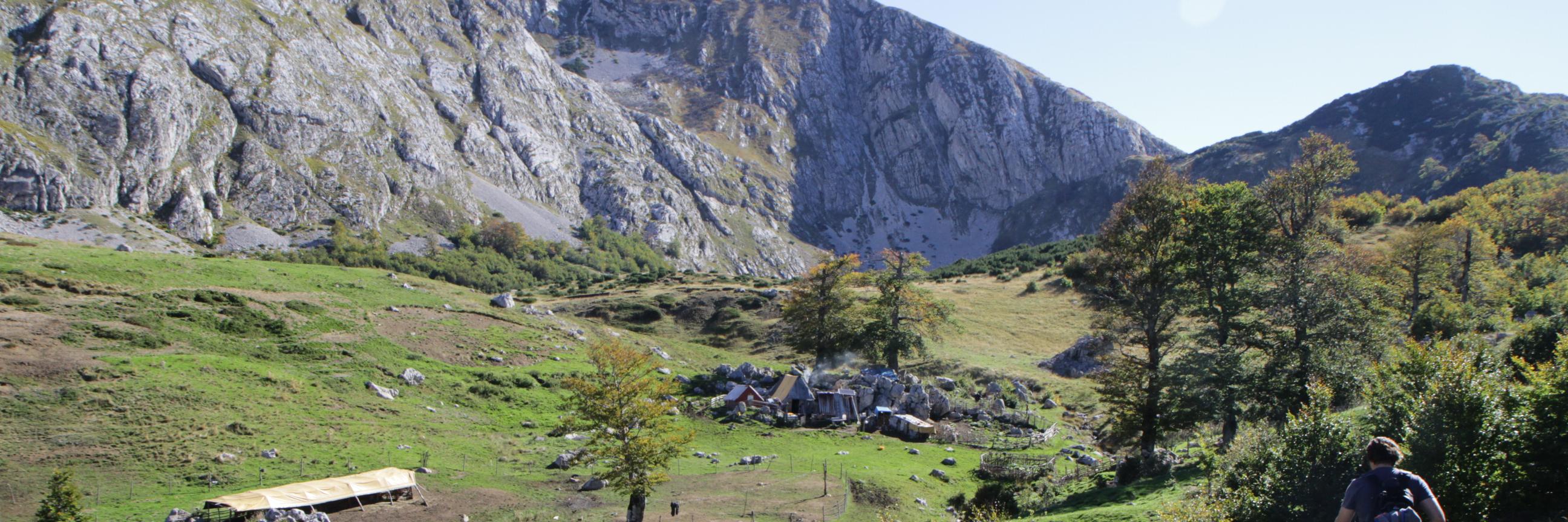 Nikola Josipovic banner