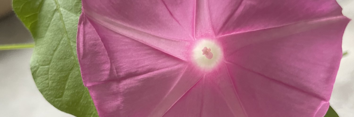 Linda A. Markwell's banner