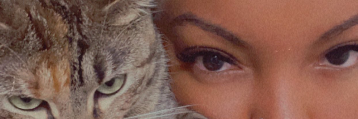 brelanka's profile banner image