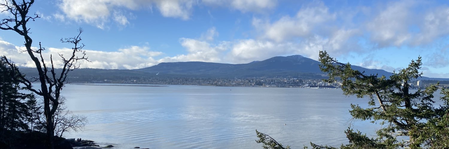 Chris Johnson banner