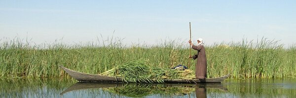 awshaidari Profile Banner