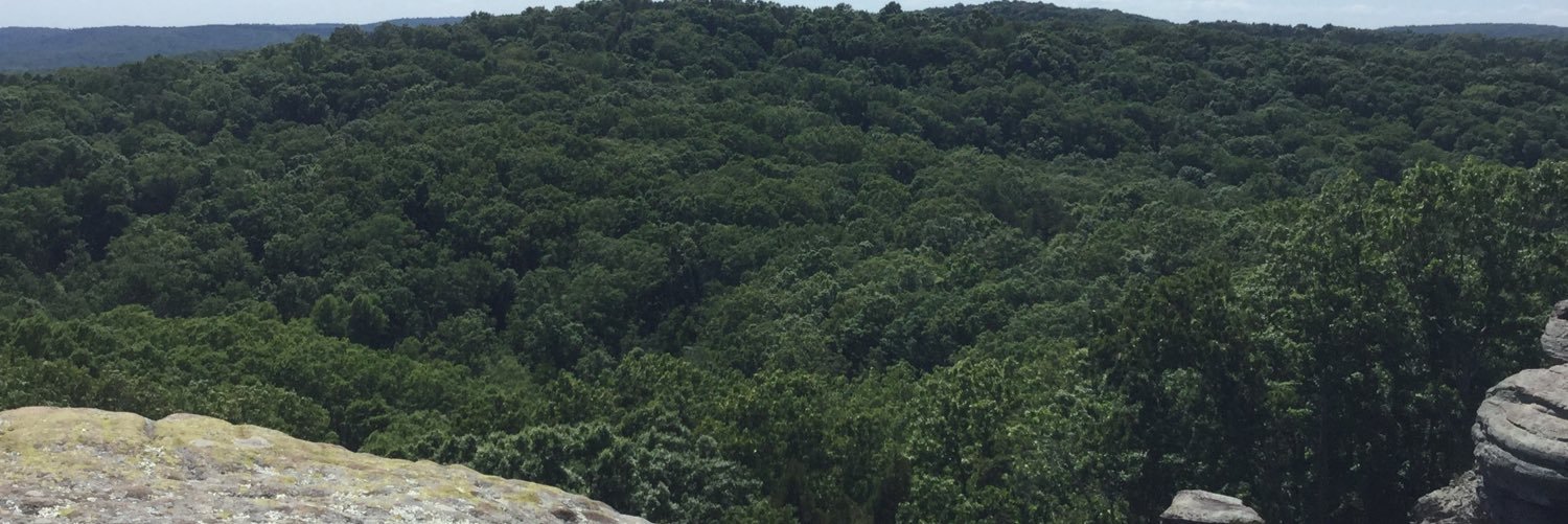 mattyvreed's profile banner image