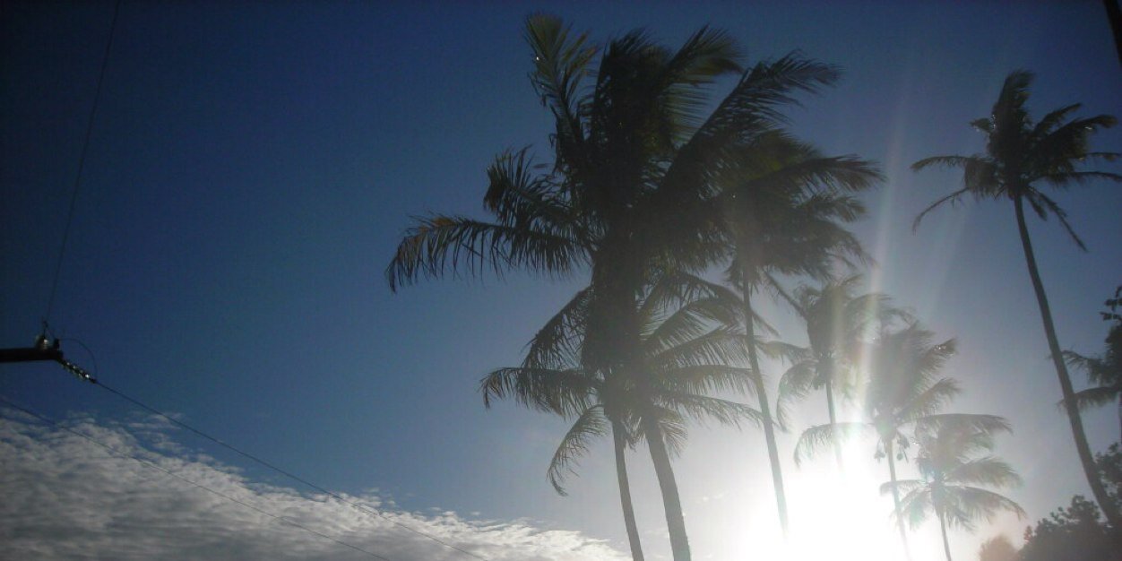 waldocaba's profile banner image