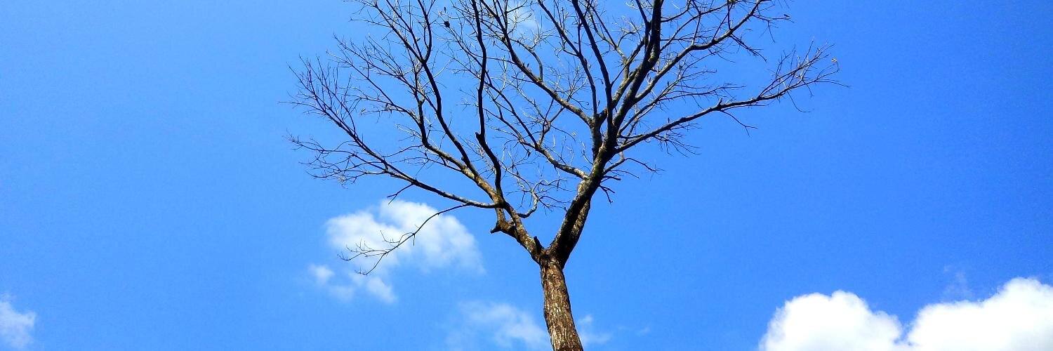 sukeevet's profile banner image