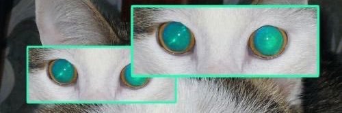 asaplaxmi's profile banner image