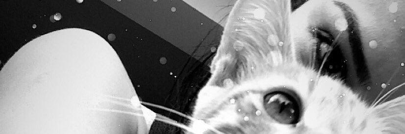 serap_dlk's profile banner image