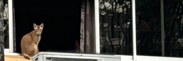 rohinislm Profile Banner