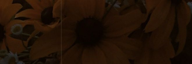 Ahmbray09's profile banner image