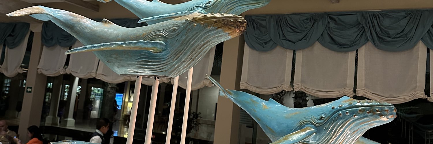 ACisterna14's profile banner image
