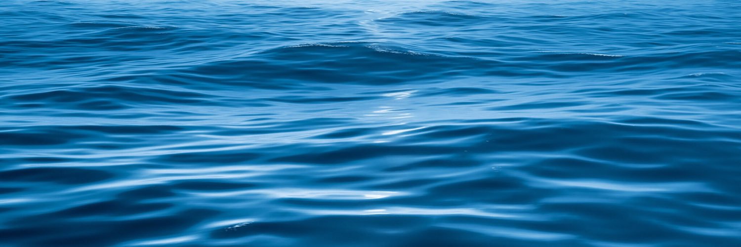 Esther Meca Cervera banner