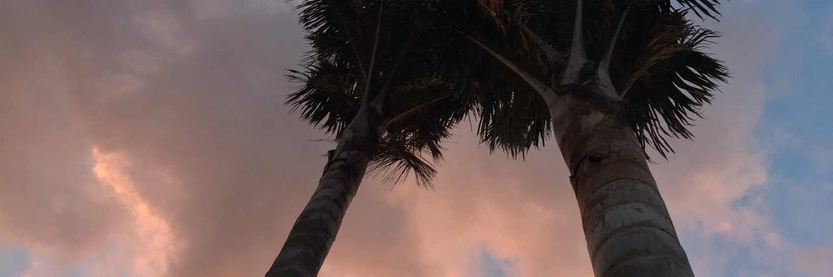 LachoG4's profile banner image
