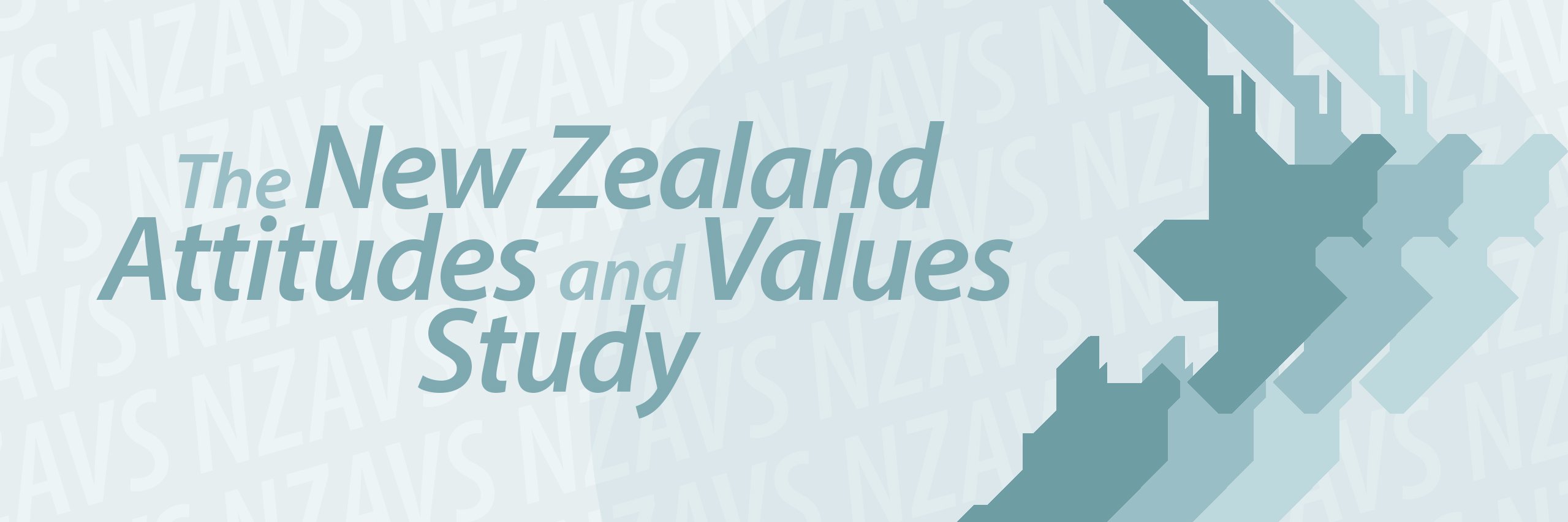 nzavs's profile banner image