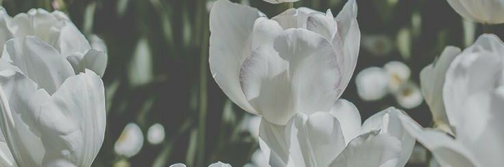 ni_ndaah's profile banner image
