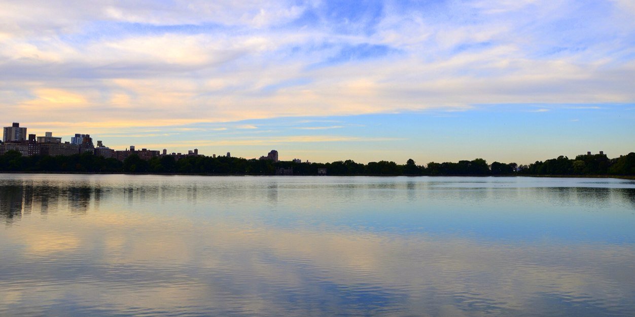 aldo_ingo's profile banner image