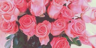 anin_dk's profile banner image