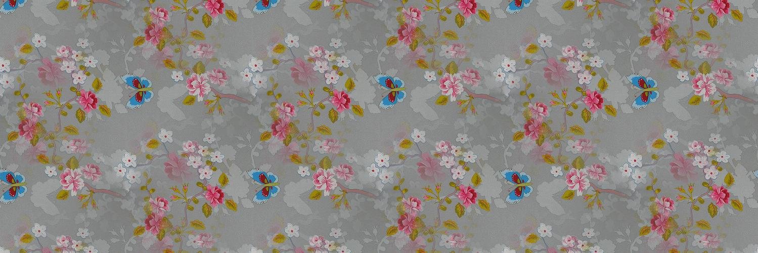 ✦⊱ 𝓐𝓜𝓠𝓢 ⊰✦ banner