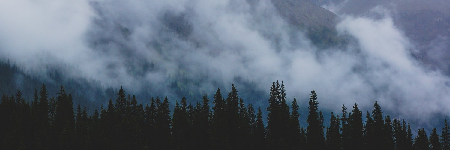 JadeKirrie's profile banner image