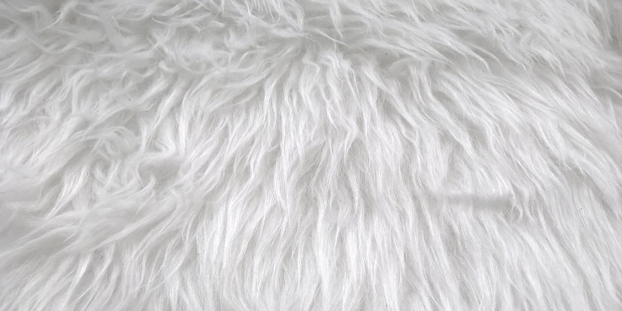 lelaaaaaoffical's profile banner image