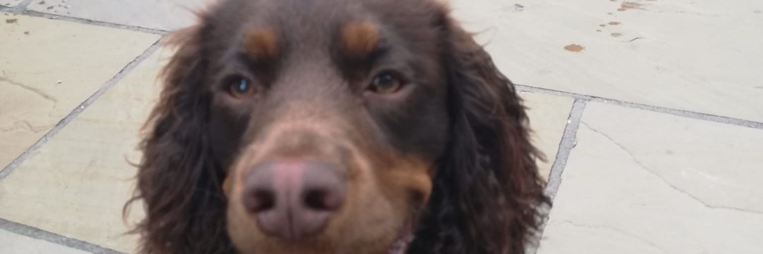 elliegearyy's profile banner image